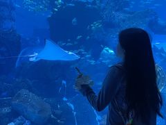 -波塞冬旅游度假区