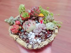 -喜家德虾仁水饺(马栏店)