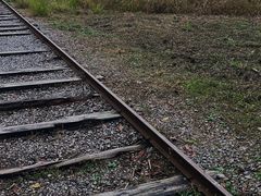 -柳鹭田园区