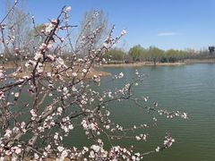 -东郊湿地公园