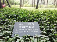 -广州珠江公园