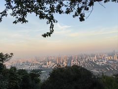 -大蜀山国家森林公园