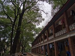 -马王堆汉墓遗址