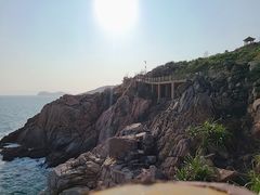 -广东惠东海龟国家级自然保护区