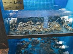 -蟹小姐节气生鲜·年货(高新店)