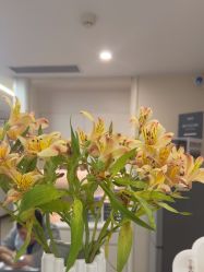 -杭州海亮医院 · 禾芸嘉医美中心