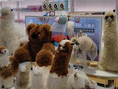 -国药中服免税(北京坊店)