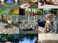 -西园戒幢律寺