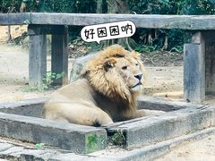 -广州长隆野生动物世界