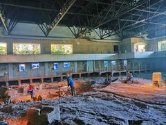 -自贡恐龙博物馆