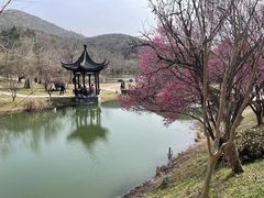 -石塘人家