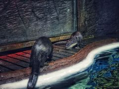 -成都浩海立方海洋公园