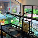 🍓如果有来生，要做一棵树，站成永恒。三毛印记