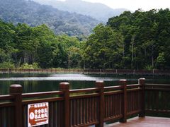 -海南热带雨林国家公园吊罗山景区