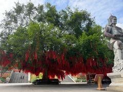 -西双版纳勐泐文化旅游区