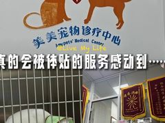 -美美宠物诊疗中心·异宠·骨科(滨江东信分院)