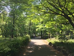 -井之头恩赐公园