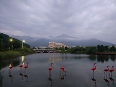 -福州大学(旗山校区)