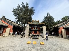 -药王庙(安国市)