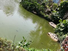 -纪念孙中山市政公园