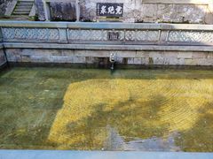 -虎跑公园