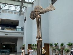 -自贡恐龙博物馆