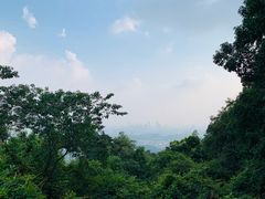 -火炉山森林公园