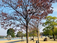 -上海月湖雕塑公园
