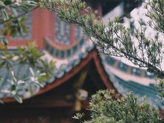 -岳阳楼景区