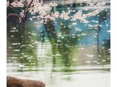 -满都海公园