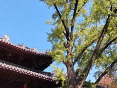 -灵谷景区