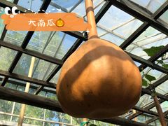 -光明农场大观园