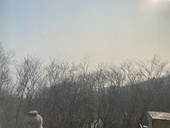 -巢湖姥山岛