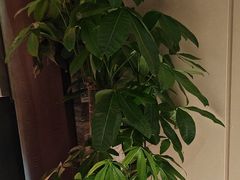 -同庆楼(王府井店)