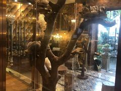 -more than meow吴止猫主题餐厅(承德 中船汇店)