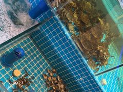 -蓝珊甄选海鲜自助·火锅大排档(近阿那亚店)