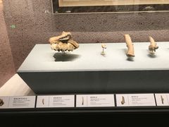 -河东池盐文化博览园