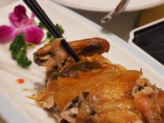 凯鸽风沙鸡-凯鸽酒楼(振兴街店)