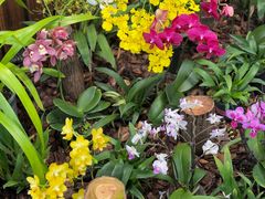 -国家植物园南园