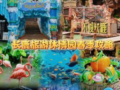 -长鹿旅游休博园