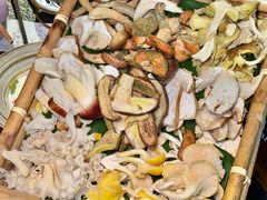 -菌自由丨野生菌火锅特色庭院餐厅(丽江古城店)