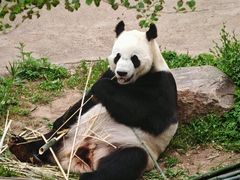 -沈阳森林动物园