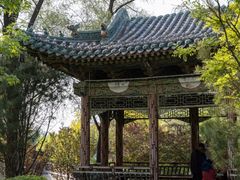 -迎泽公园