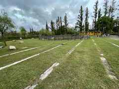 -前小桔亲子创意农场·草莓采摘·露营烧烤