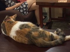 -看书吧(体育东横路店)