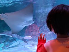 -沈阳海洋探索中心