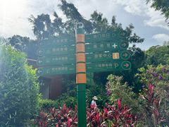 -野象谷景区