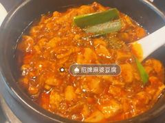 -陈麻婆豆腐总店