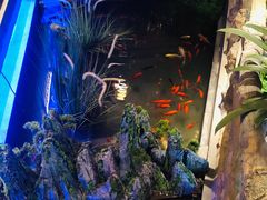 环境-明洞阿姨·韩式酱蟹烤肉·创意料理(三元桥店)