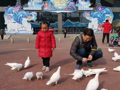 -泉城欧乐堡海洋极地世界